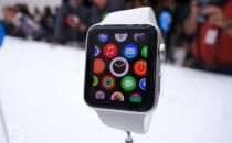 Apple Watch上市一个月：必需品还是极客的玩具？