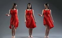 够fashion 1600片花瓣的3D打印裙