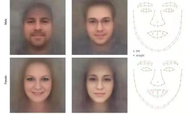 AI算法通过照片识别同性恋3