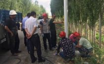 “一带一路”上的新疆乌苏，携手烽火踏上ICT“丝绸之路”
