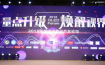 2018量子点显示产业论坛在京开幕
