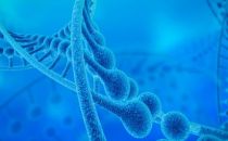 迈向“高清”基因组 | 华大发布“676”高精度基因组标准及解决方案