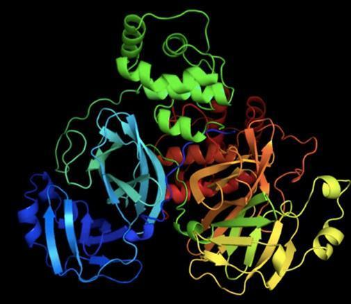 GHDDI针对此次新型冠状病毒蛋白质序列实现部分靶点的同源建模工作