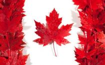 Rogers推出加拿大首个5G网络