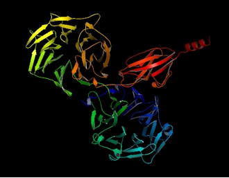 alphaFold2预测的T1050蛋白结构渲染图