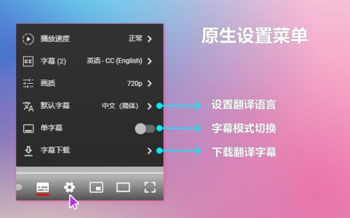 实时翻译视频字幕的工具或软件难找，但可以试试这5款视频字幕翻译工具！