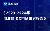 2023-2024年湖北省IDC市场研究报告